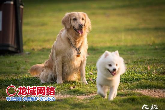 100%能上熱門的短視頻素材