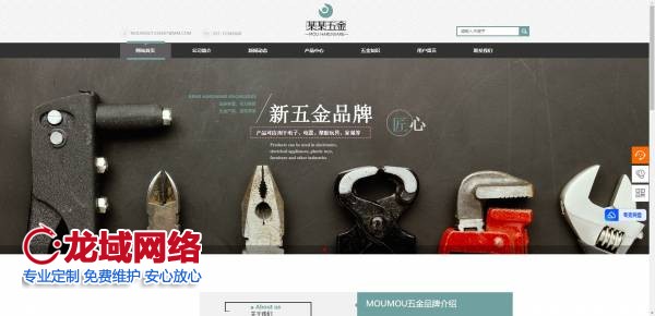 網站界面設計中視覺體驗的研究